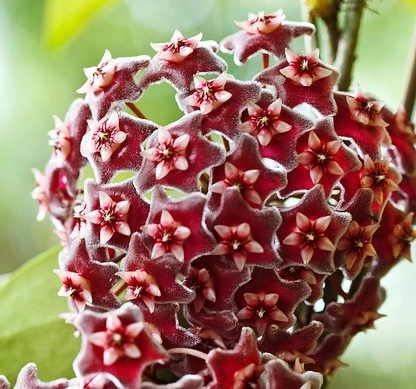 웹 캡처_1-12-2022_122149_blog.naver.com.jpeg