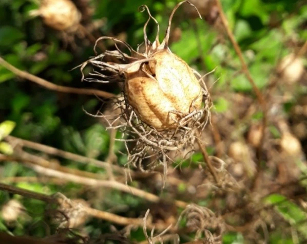 웹 캡처_30-3-2023_13185_blog.naver.com.jpeg