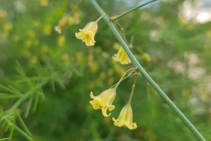 웹 캡처_14-3-2023_161820_blog.naver.com.jpeg