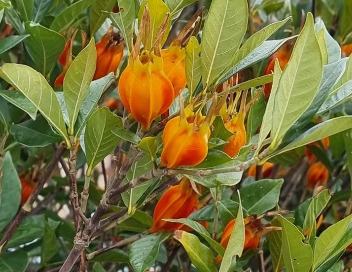 Screenshot 2023-01-15 at 11.05.51.JPG