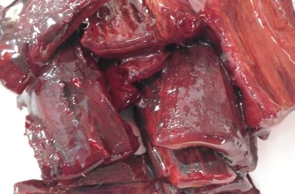 느릅나무  (16).jpeg