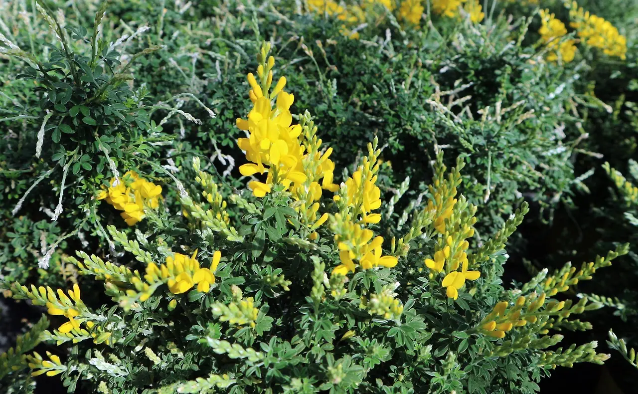 VBfH0-IcdCYPcb7IlMukhwLNcHcAH1H2CHZZIkRXOcH2Bt4XJzhbIamdWo0jUrBC5d5hFXTCUqOlfPu4UKV1QQ_toBthiKzMw5XeKbgzd-Y?purpose=fullsize&v=1