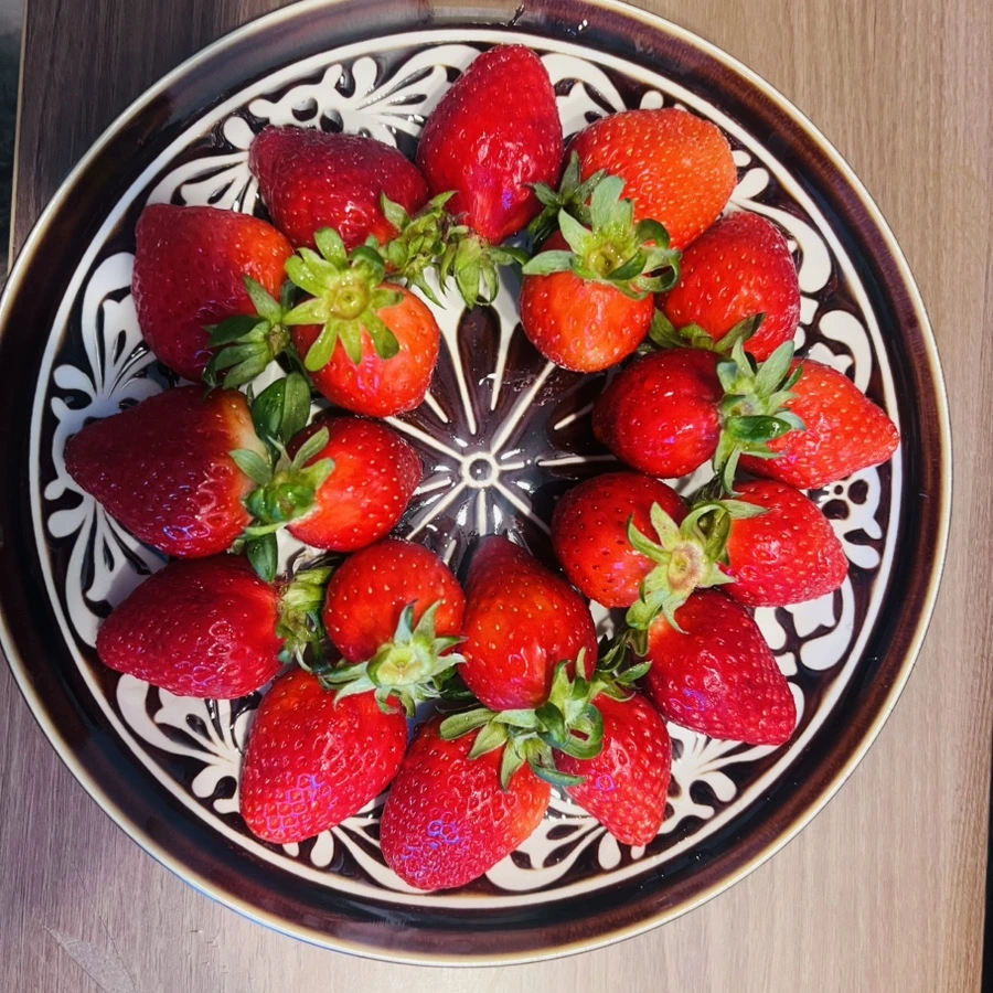 IMG%EF%BC%BF0590.jpg?type=w966