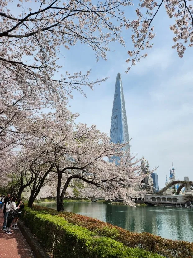 ?src=http%3A%2F%2Fblogfiles.naver.net%2FMjAyNTA0MTNfMTQ2%2FMDAxNzQ0NTExMDY3NjQz.OrjyZOJL69ow4dDZY6kG4wNWtBVayvRwtmWuEqt2kUMg.COOhvuea2jYjQlhdZySjkegMZHw7z-CI8JZNd9aP6OMg.JPEG%2F900%25A3%25DF20250412%25A3%25DF103056.jpg&type=sc960_832