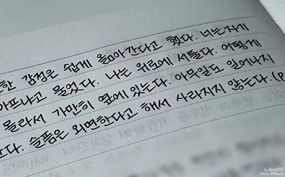 SE-b140922d-c2c1-48a5-bcae-2e2dc93b35e1.jpg?type=w1