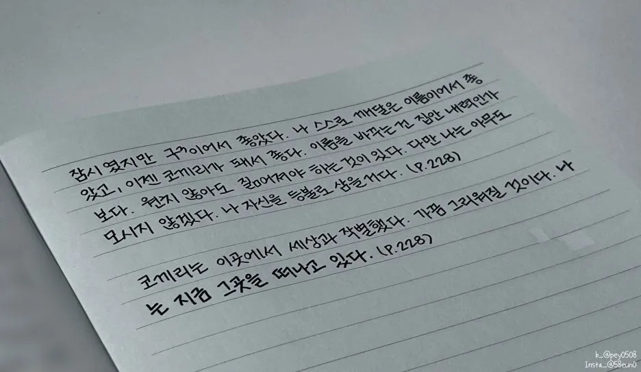 SE-ba0004af-aea7-43ae-9ea5-11095e31b4f7.jpg?type=w1