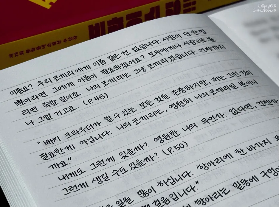 SE-b93d8839-784c-4969-83d3-0d48ac1bc748.jpg?type=w1