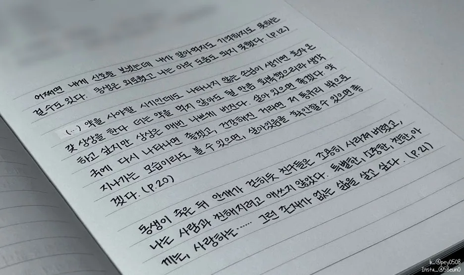 SE-32facc2f-d121-4506-b4bb-0fd155869e06.jpg?type=w1