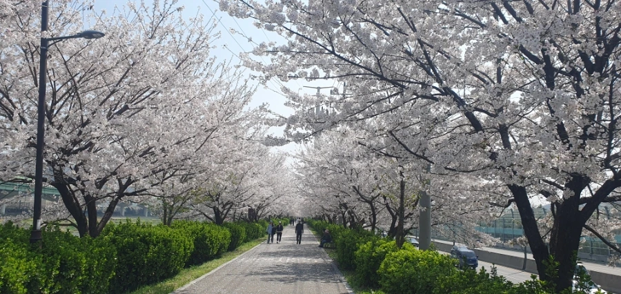 900%EF%BC%BF20250411%EF%BC%BF131548.jpg?type=w1