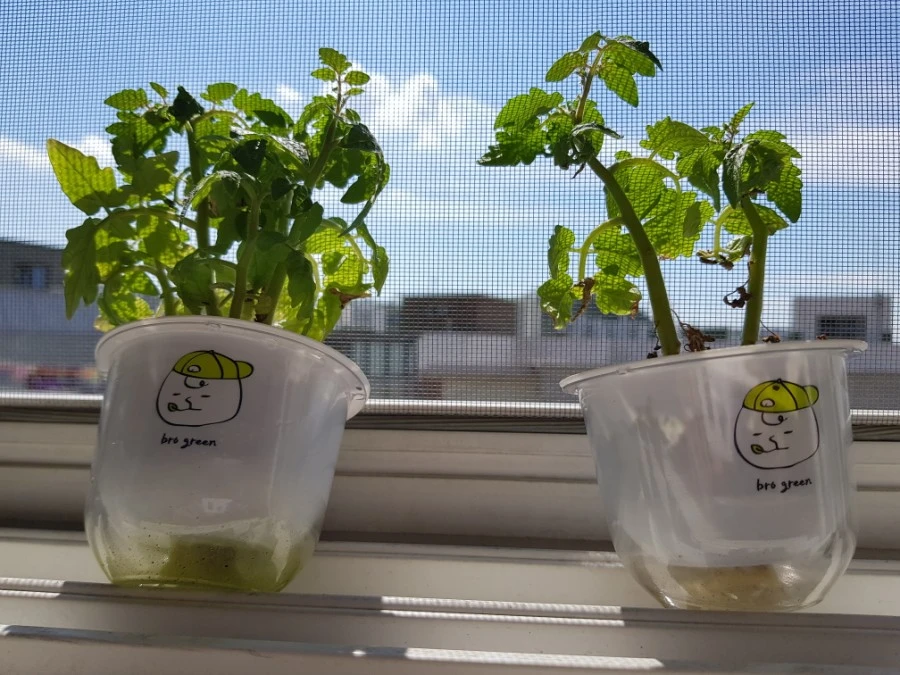 20170822_144332.jpg?type=w1