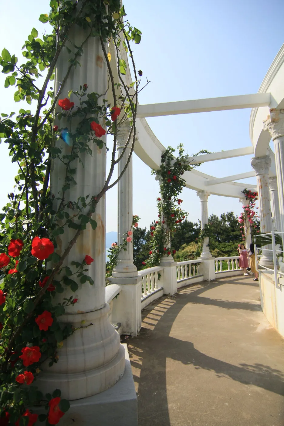 IMG_5615.jpeg?type=w1