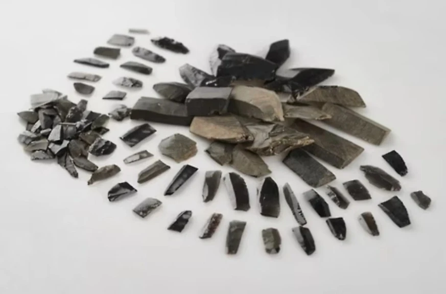 대구 월성동 흑요석 유물_대구박물관.JPG