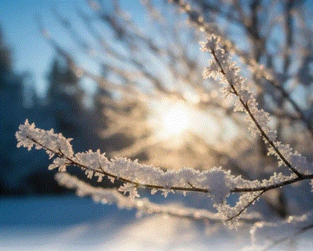 겨울햇살.GIF
