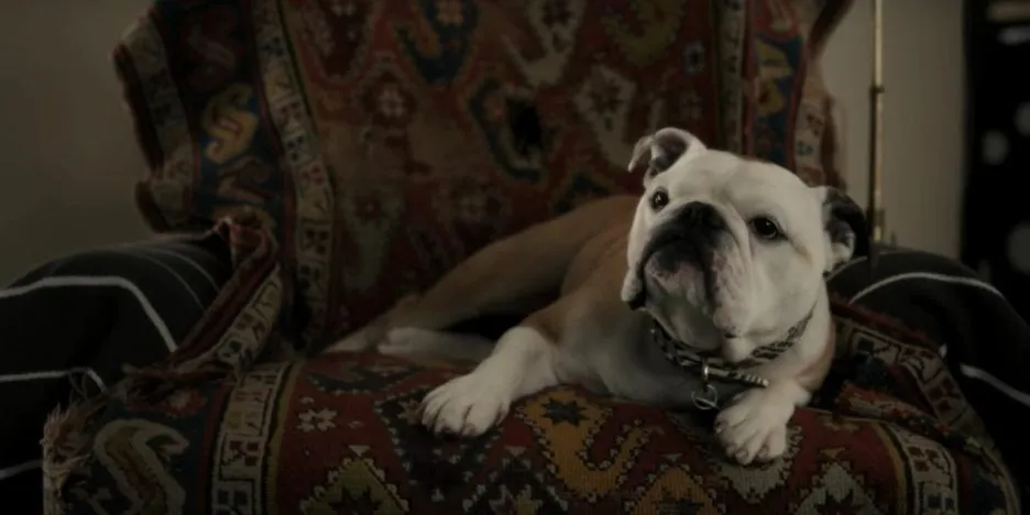 %ED%8C%A8%ED%84%B0%EC%8A%A87.jpg?type=w1