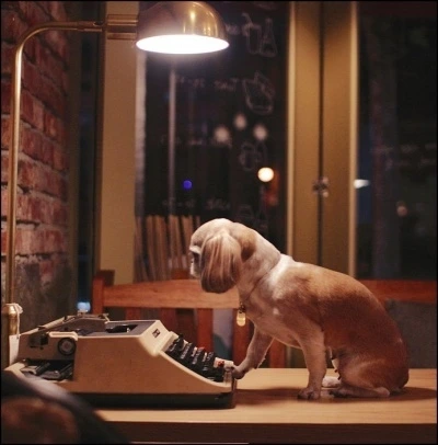 Cyworld_20190817_180403.jpg?type=w1