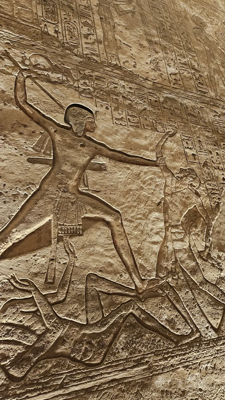 20250119_083815.jpg?type=w773