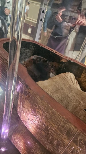 20250117_124536.jpg?type=w773