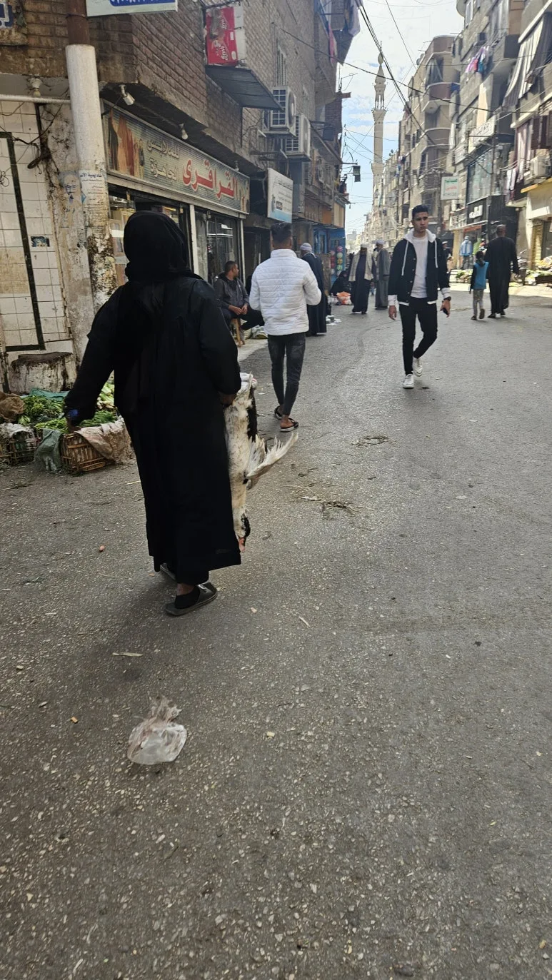 20250121_124246.jpg?type=w773