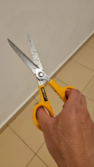 20250122_014322.jpg?type=w386