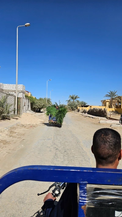 20250125_125718.jpg?type=w773