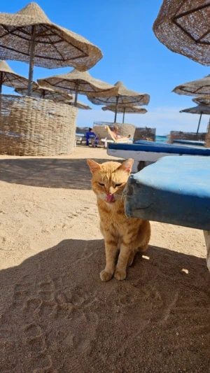 20250122_122206.jpg?type=w386