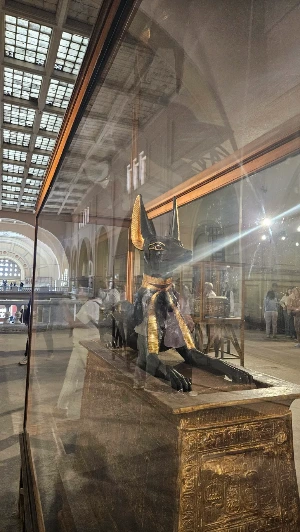 20250117_123855.jpg?type=w773