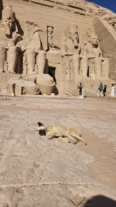 20250119_094428.jpg?type=w386