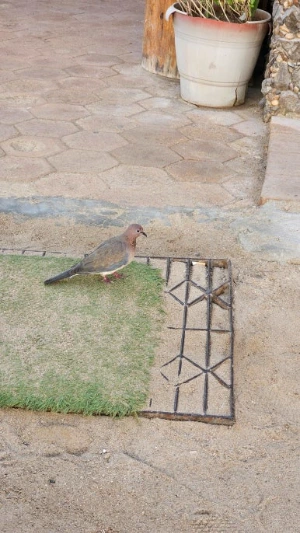 20250123_093943.jpg?type=w386