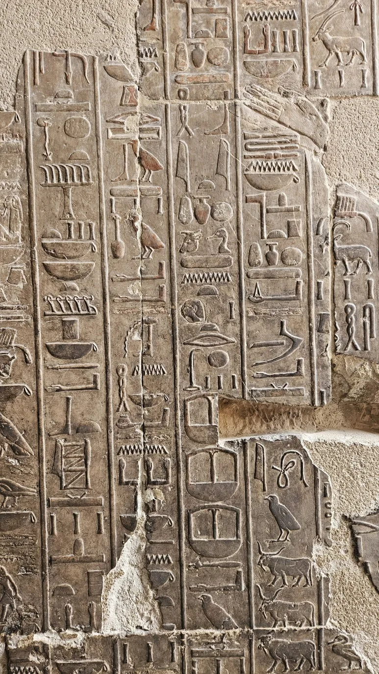 20250120_160135.jpg?type=w773