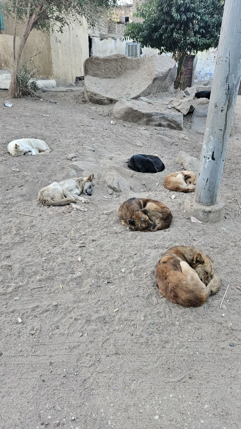 20250120_063326.jpg?type=w773