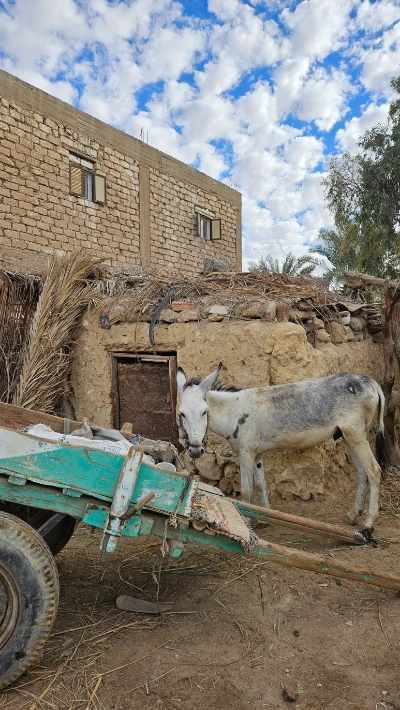 20250125_094533.jpg?type=w773