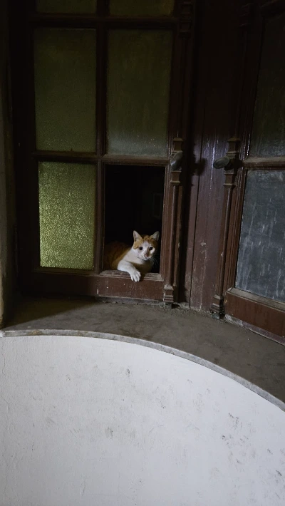 20250127_051142.jpg?type=w773