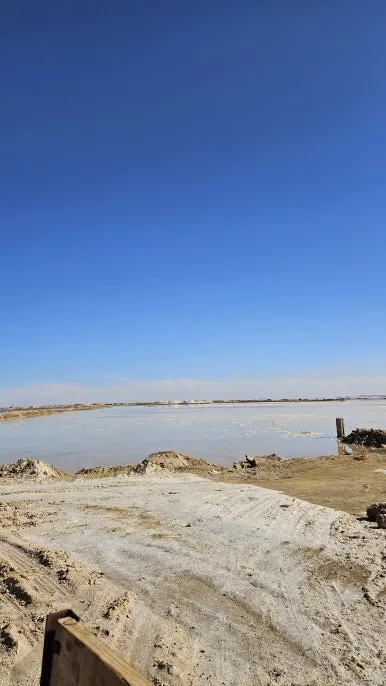 20250125_134859.jpg?type=w386