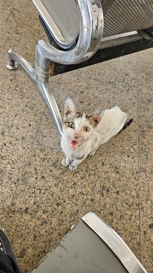 20250124_100823.jpg?type=w773