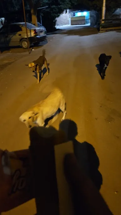 20250119_033025.jpg?type=w386