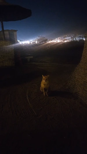 20250123_203715.jpg?type=w773