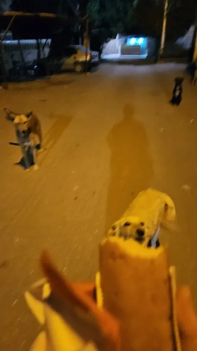 20250119_033039.jpg?type=w386