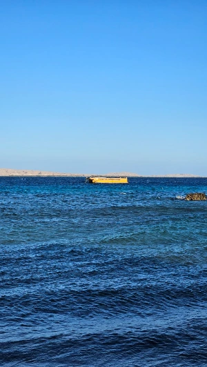 20250123_160819.jpg?type=w773