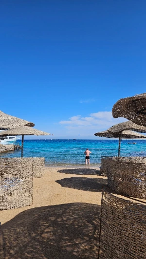 20250122_110157.jpg?type=w773