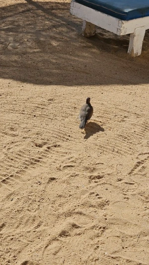 20250123_093900.jpg?type=w386