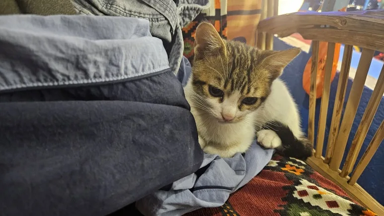 20250119_184524.jpg?type=w773