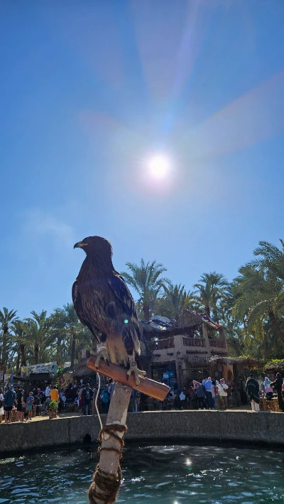 20250125_142003.jpg?type=w773