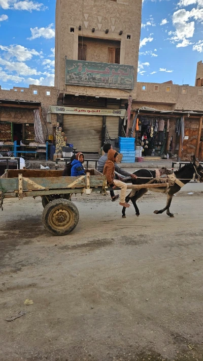 20250125_084744.jpg?type=w773