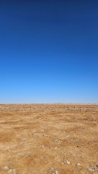 20250125_131405.jpg?type=w773