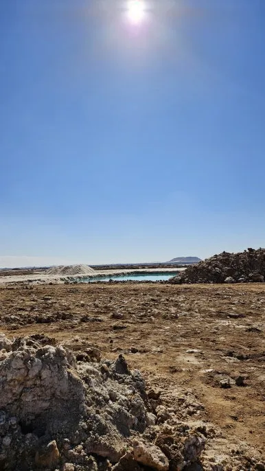 20250125_131716.jpg?type=w386