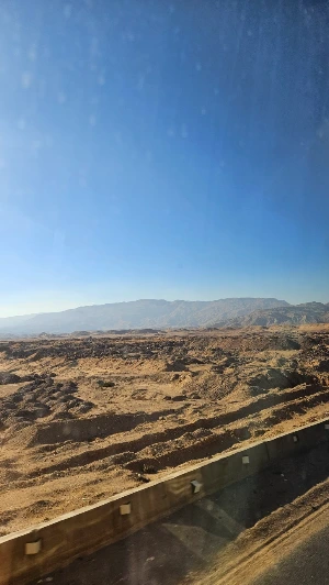 20250124_145230.jpg?type=w773