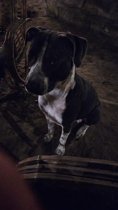 20250125_213456.jpg?type=w773