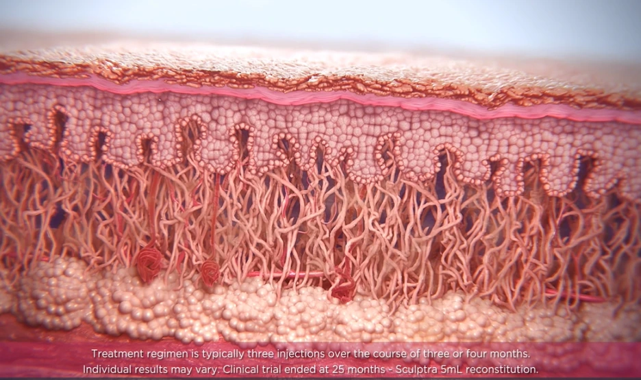 %EC%8A%A4%EC%BB%AC%ED%8A%B8%EB%9D%BC3.png?type=w1