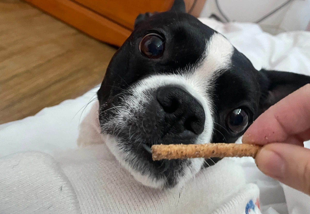 KakaoTalk_Photo_2026-02-11-16-19-08 002.jpeg