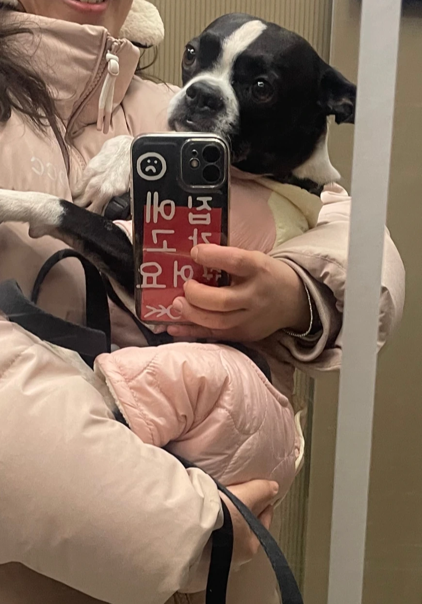 KakaoTalk_Photo_2026-02-11-16-33-05 001.jpeg